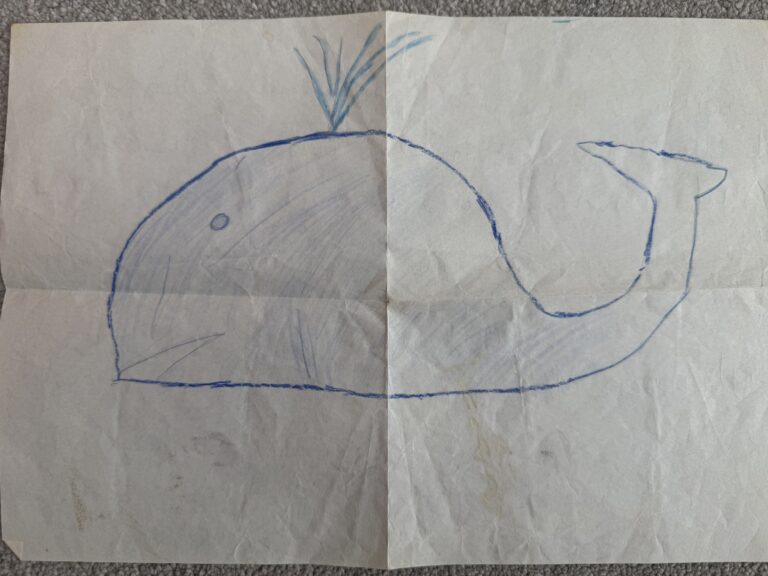A Whale